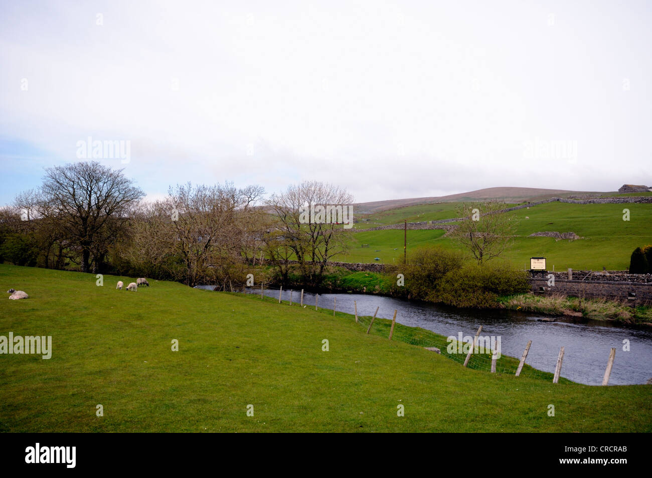 Fiume Ribble in esecuzione attraverso Horton in Ribblesdale nel Yorkshire Dales National Park, Inghilterra. Foto Stock
