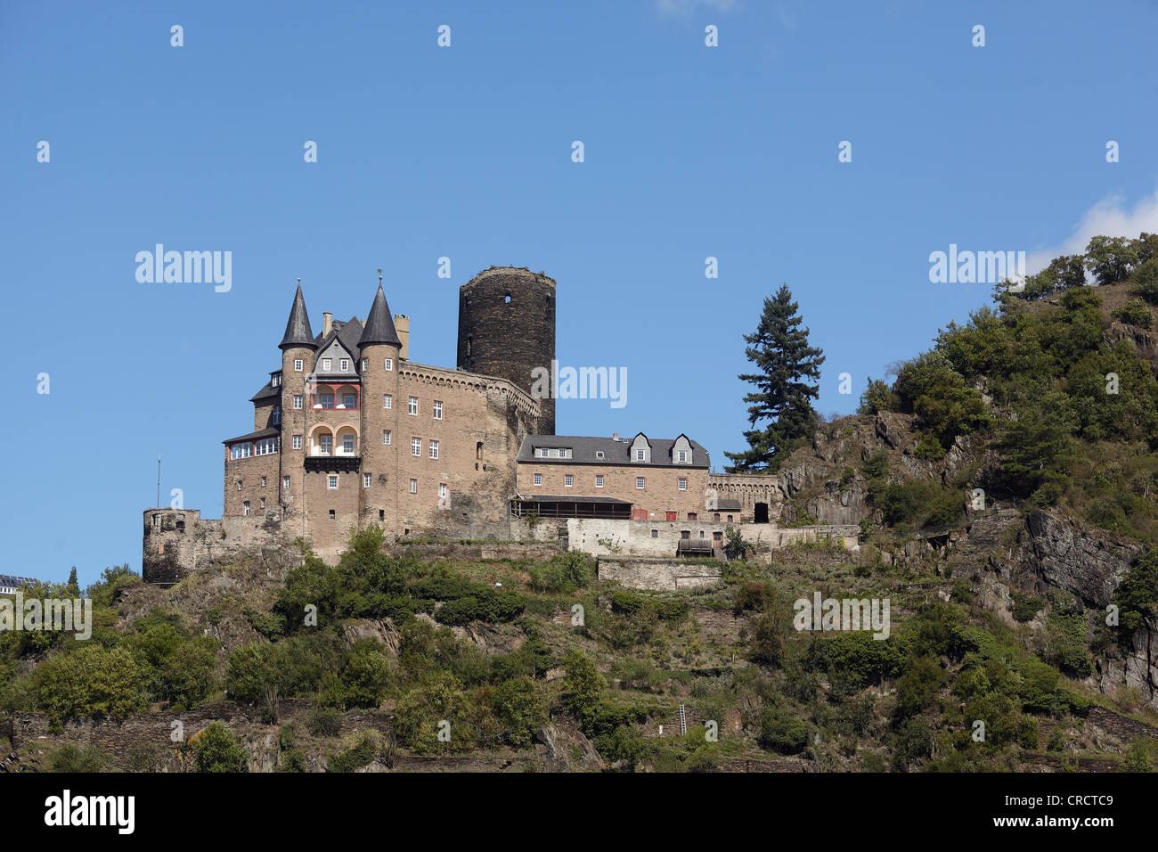 Burg Katz castello sopra il fiume Reno vicino San Goarshausen, Renania-Palatinato, Germania, Europa Foto Stock