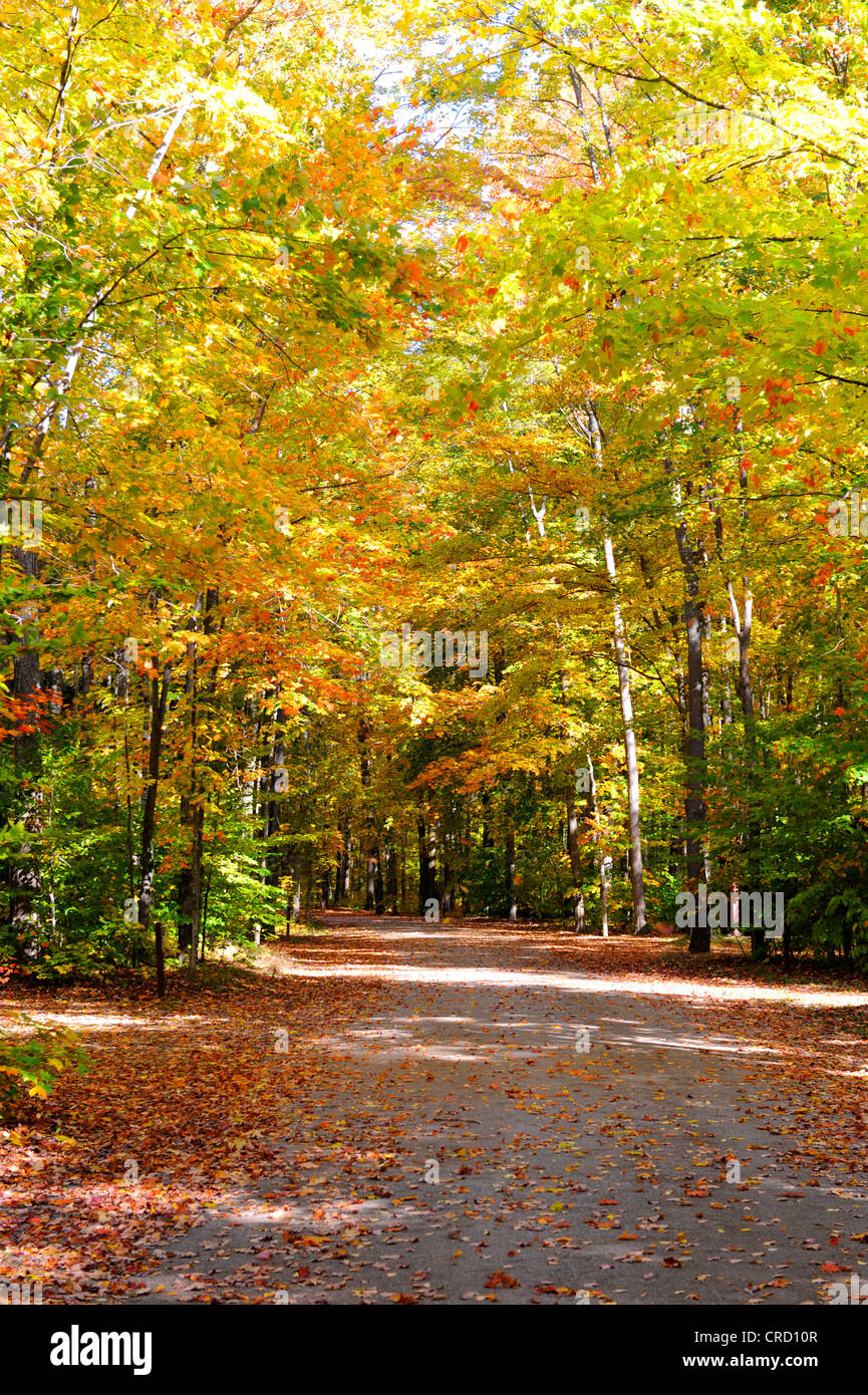Hiawatha National Forest in Michigan penisola superiore durante l'autunno autunno tempo di colori Foto Stock