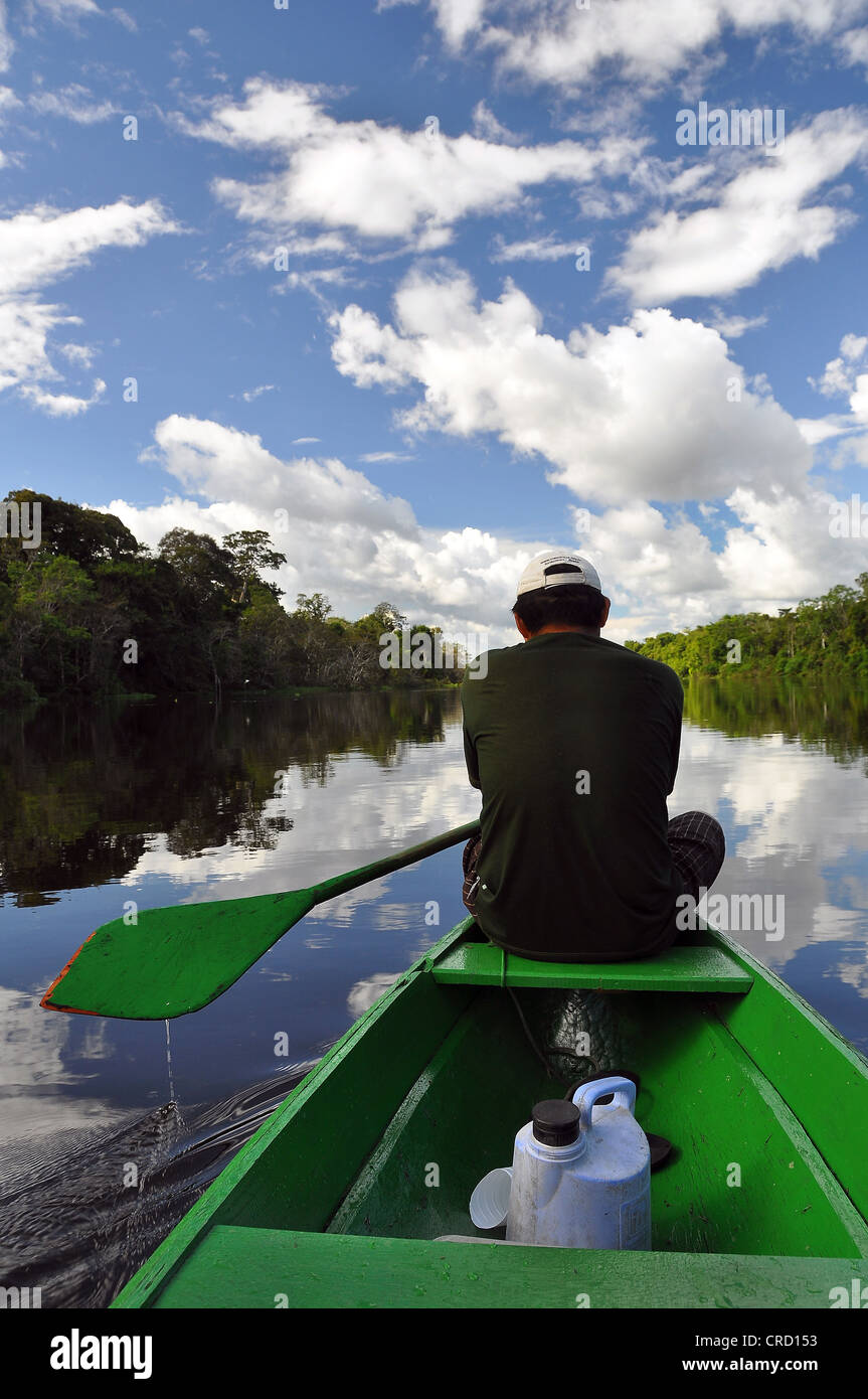 Uomo che viaggia in canoa su un affluente del Rio delle Amazzoni, Mamiraua Riserva Naturale, Amazzonia, Brasile, Sud America Foto Stock