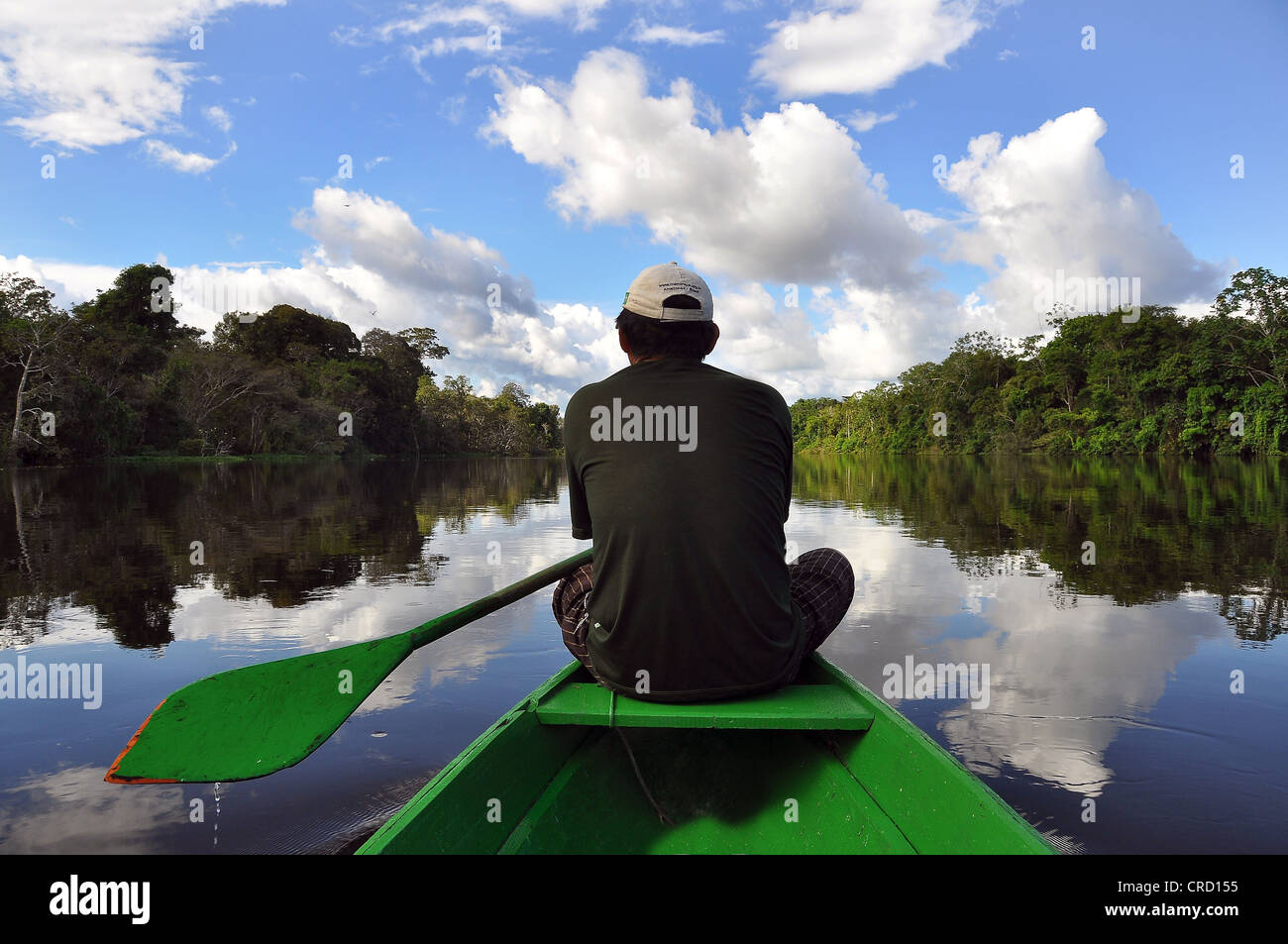 Uomo che viaggia in canoa su un affluente del Rio delle Amazzoni, mamiraua riserva naturale, Amazzonia, Brasile, Sud America Foto Stock