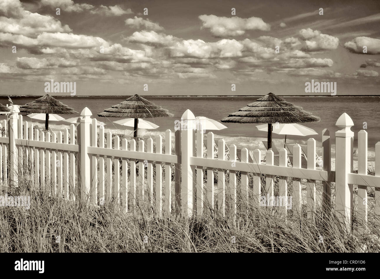 White Picket Fence e ombrelloni da spiaggia. Grace Bay. Providenciales. Isole Turks e Caicos Foto Stock