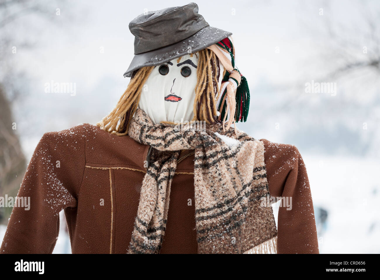 Dettaglio da Scarecrows sull'esecuzione. Da un'installazione di scarecrows dal loro originale campo vicino Rapide-Danseur Quebec Foto Stock