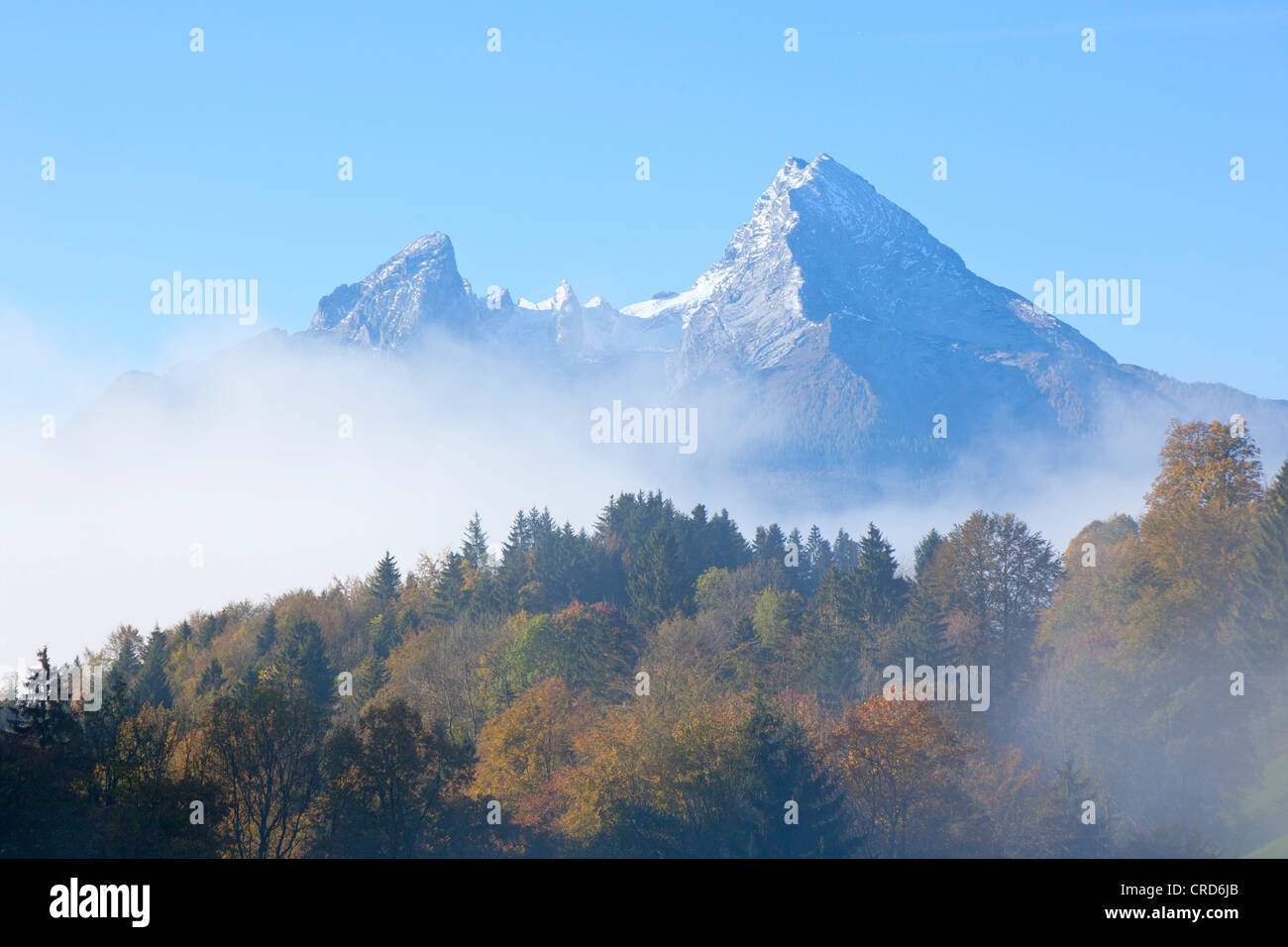 La foresta e la nebbia nella parte anteriore del Watzmann, sulle Alpi di Berchtesgaden, Berchtesgadener Land Baviera, Germania, Europa Foto Stock