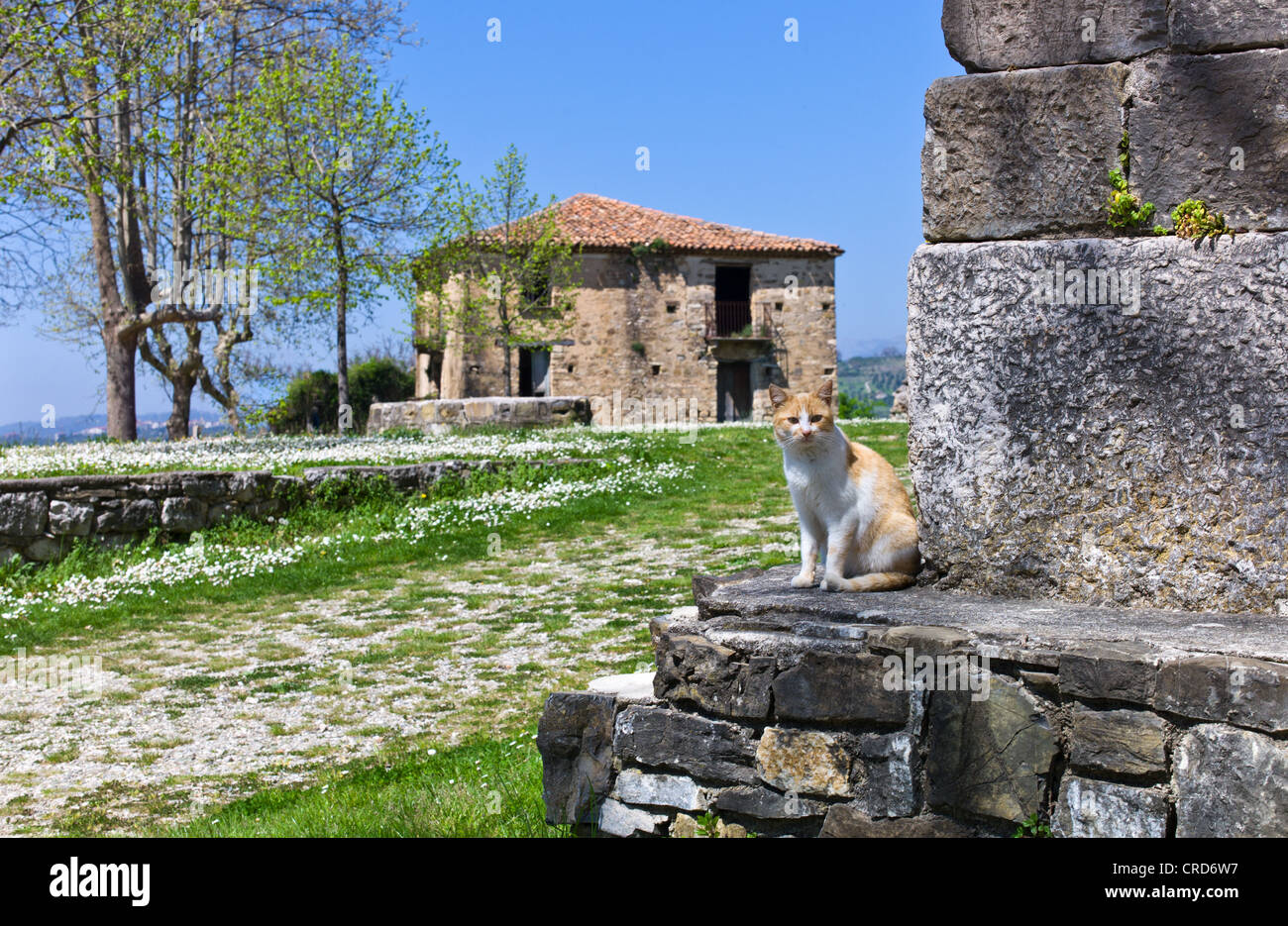 Europa Italia,Campania Cilento, abbandonato il vecchio quartiere di Roscigno Vecchia, dettaglio Foto Stock