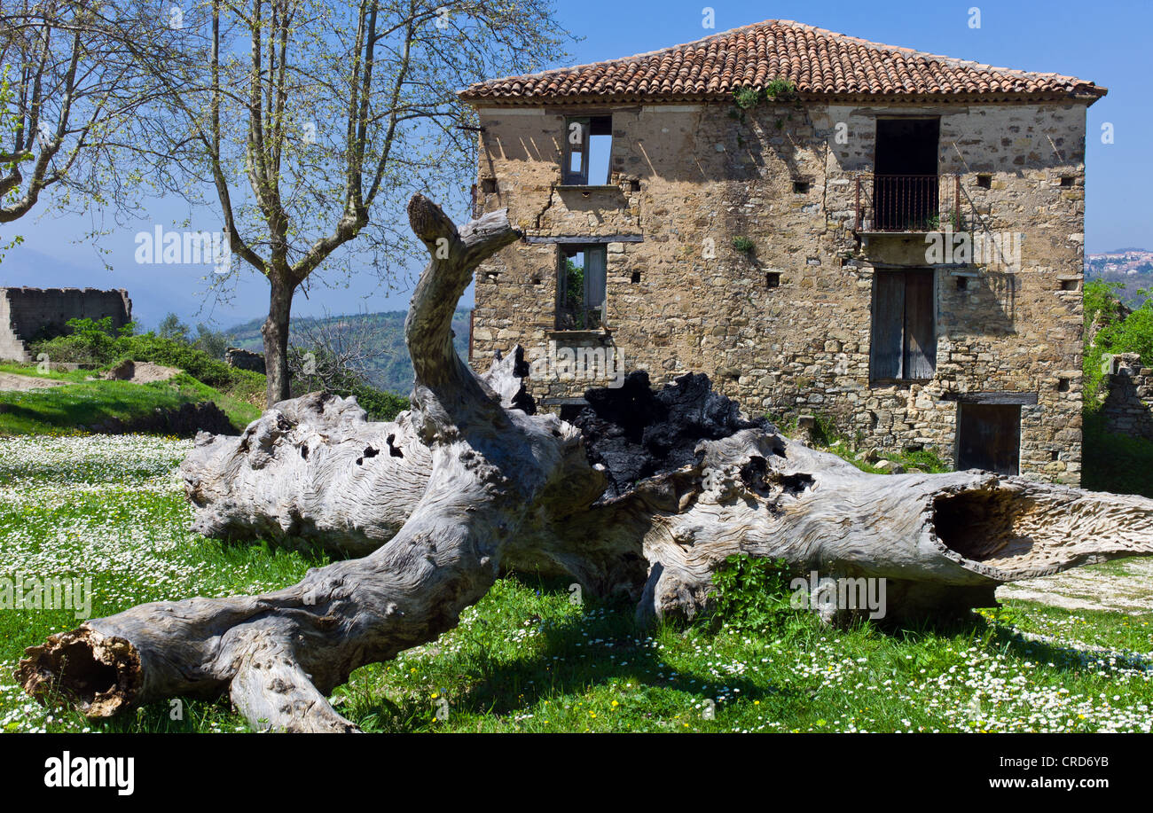 Europa Italia,Campania Cilento, abbandonato il vecchio quartiere di Roscigno Vecchia Foto Stock