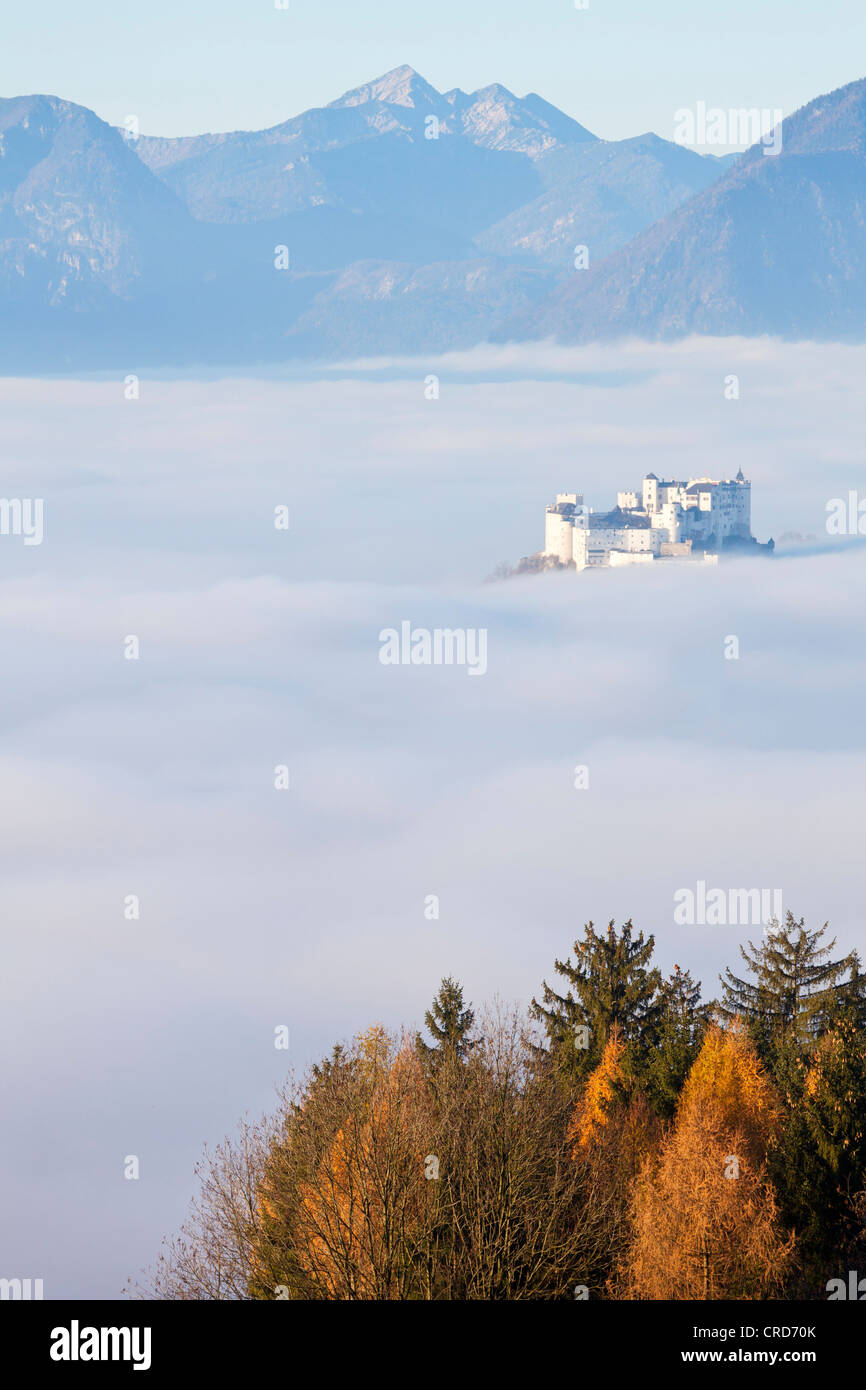 La fortezza Hohensalzburg di Salisburgo, Austria, Europa Foto Stock