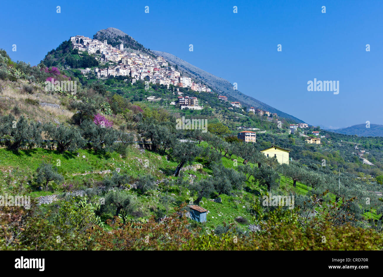 Europa Italia,Campania Cilento, vista panoramica di Castelcivita e la campagna Foto Stock