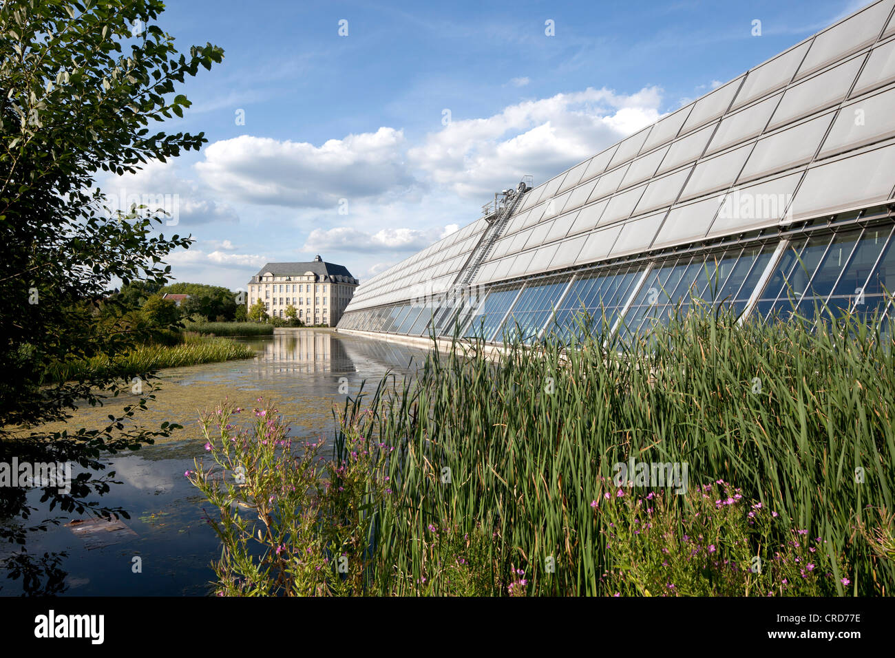 Il parco della scienza di Gelsenkirchen, tecnologia e centro affari, congressi e centro eventi, Gelsenkirchen, zona della Ruhr Foto Stock