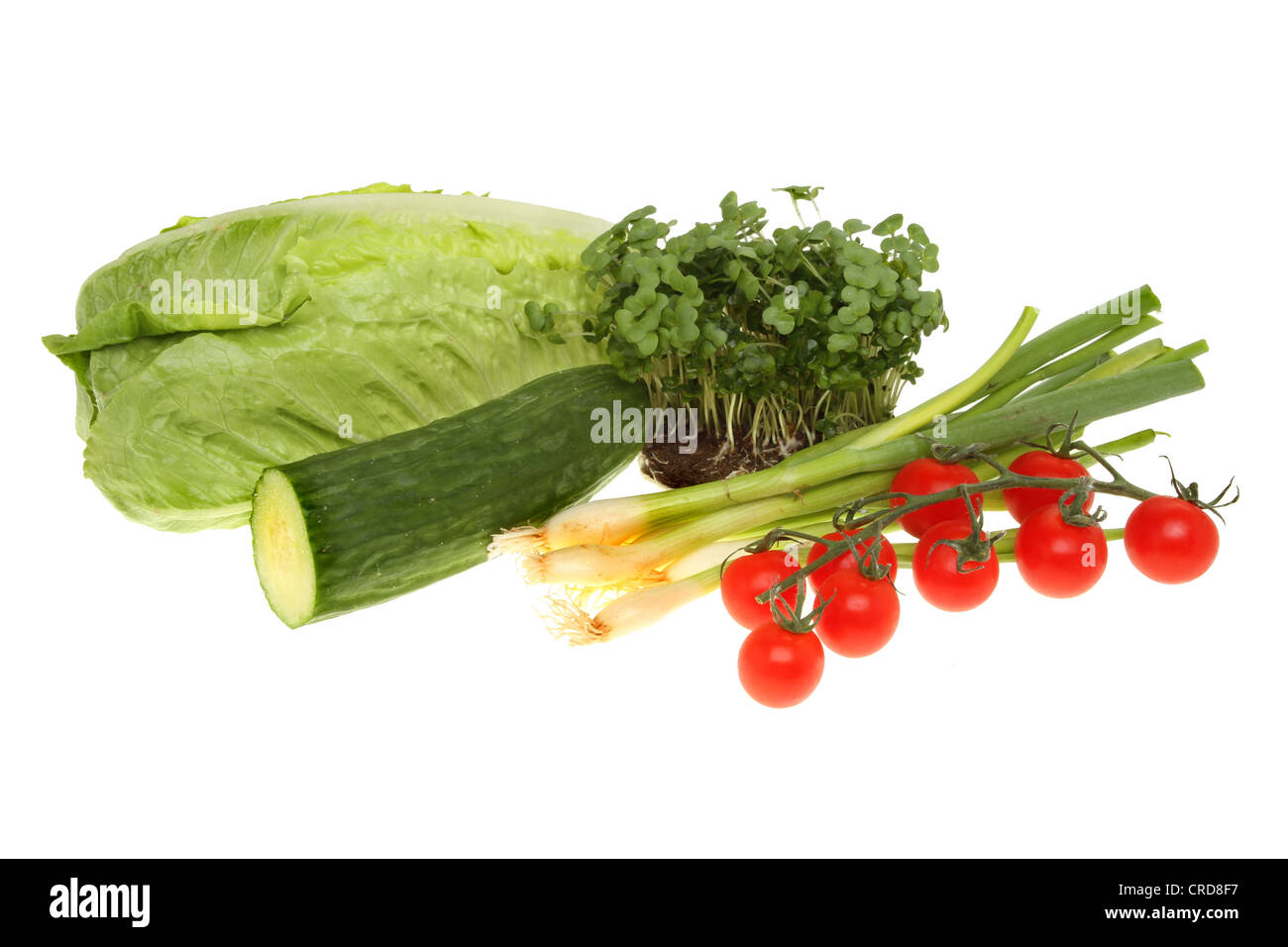 Ingredienti insalata di lattuga, crescione, cetriolo, pomodori e cipolle isolata contro bianco Foto Stock