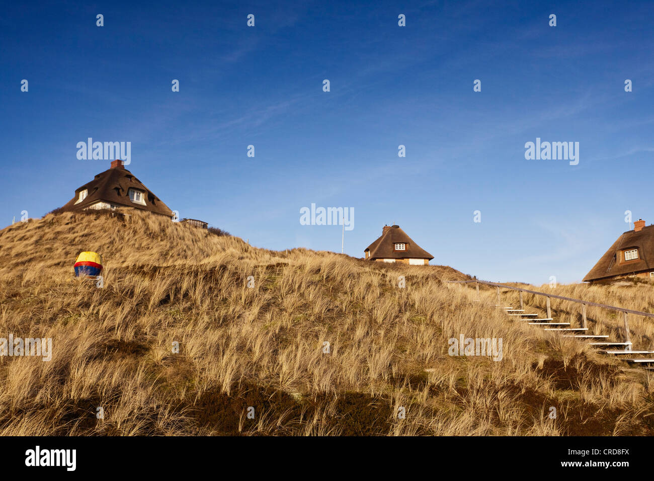 Case in paglia, Kersig-Siedlung, Hoernum, Sylt, Schleswig-Holstein, Germania, Europa Foto Stock