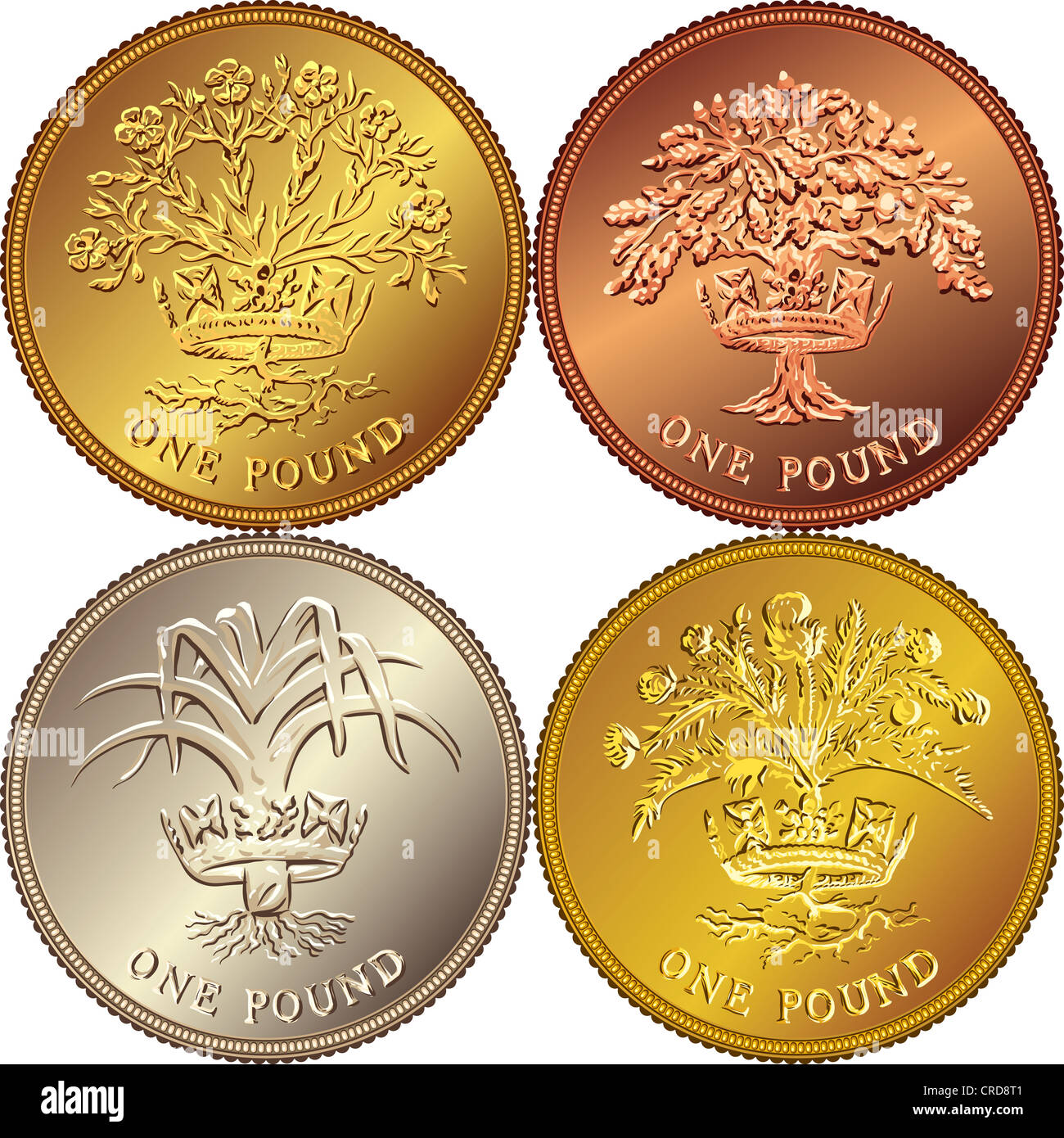 Impostare monetario britannico moneta in oro una sterlina con gli emblemi: Thistle e diadema regale che rappresenta la Scozia, porri e royal Foto Stock