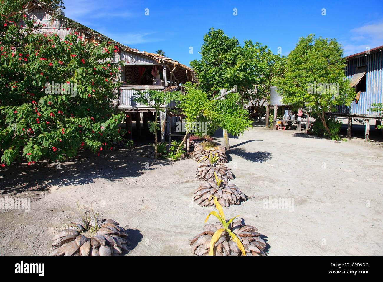 Pirumeri Isola, Shortland Islands, Isole Salomone, Oceania Foto Stock