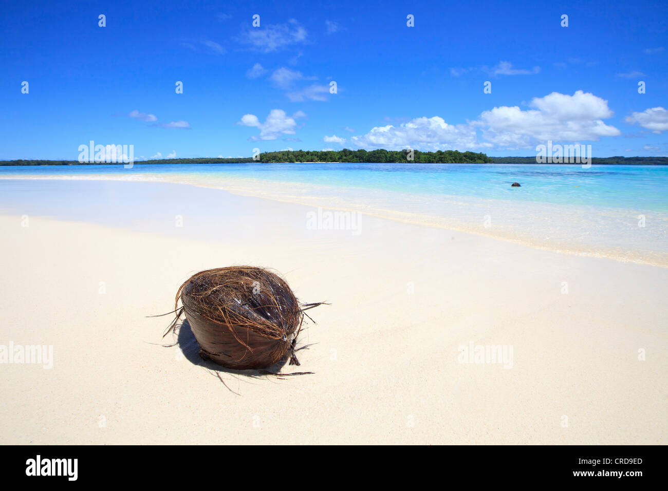 Onua Isola, Shortland Islands, Isole Salomone, Oceania Foto stock - Alamy
