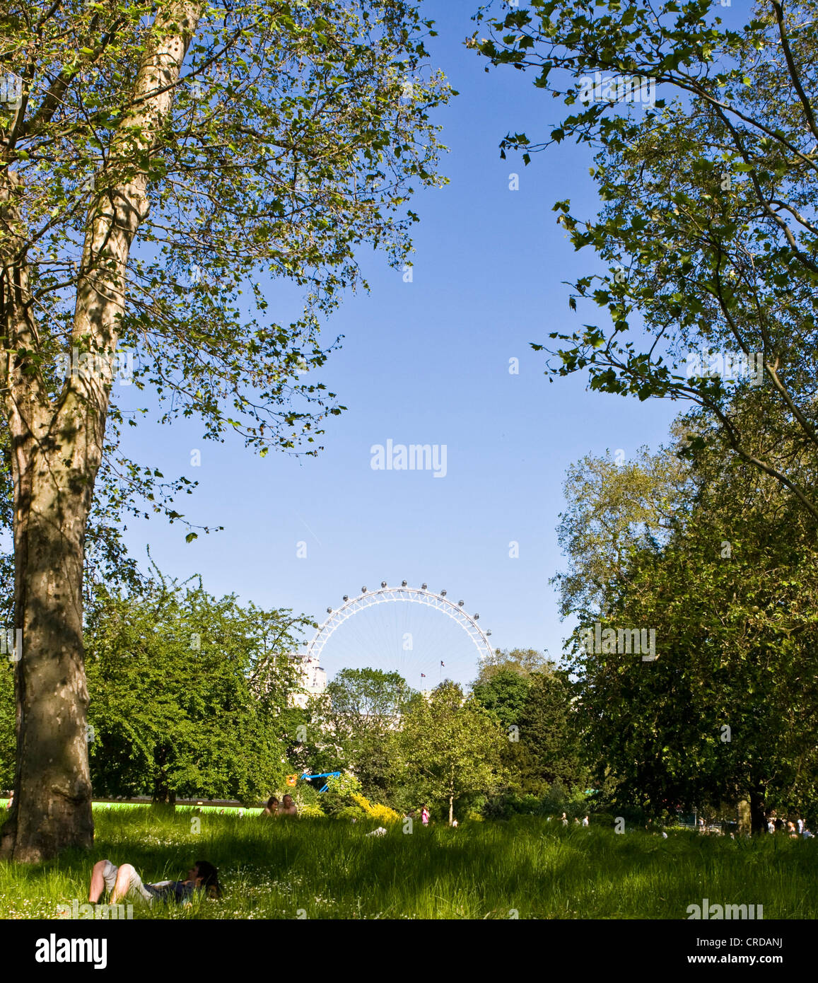 La gente di riposo rilassante prendere il sole in estate St James Park con Millennium Wheel in background Londra Inghilterra Europa Foto Stock