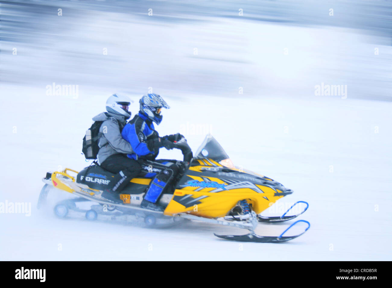 Snow mobile in movimento, Finlandia, Lapponia Foto Stock