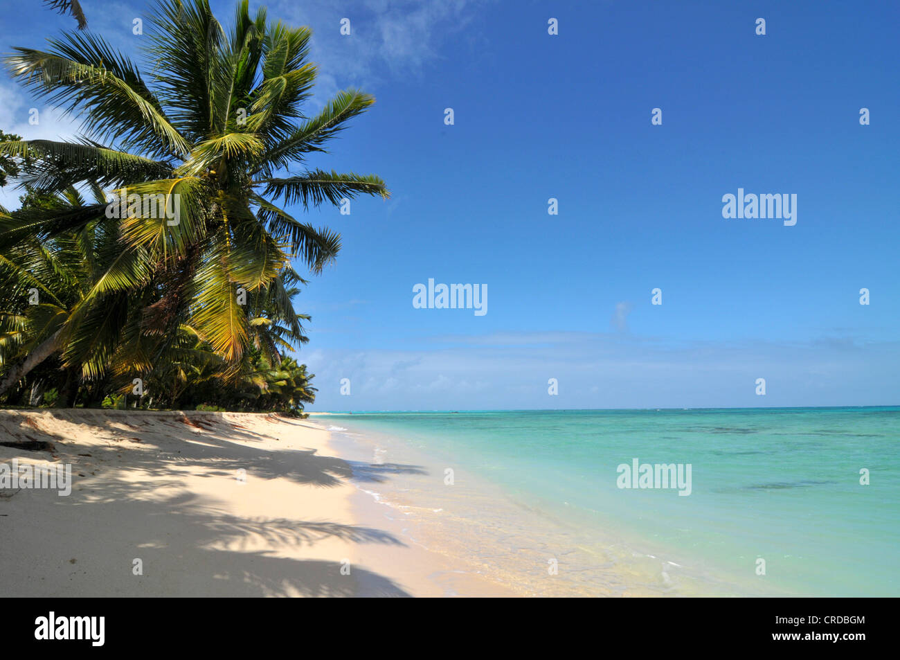 Isola del madagascar immagini e fotografie stock ad alta risoluzione