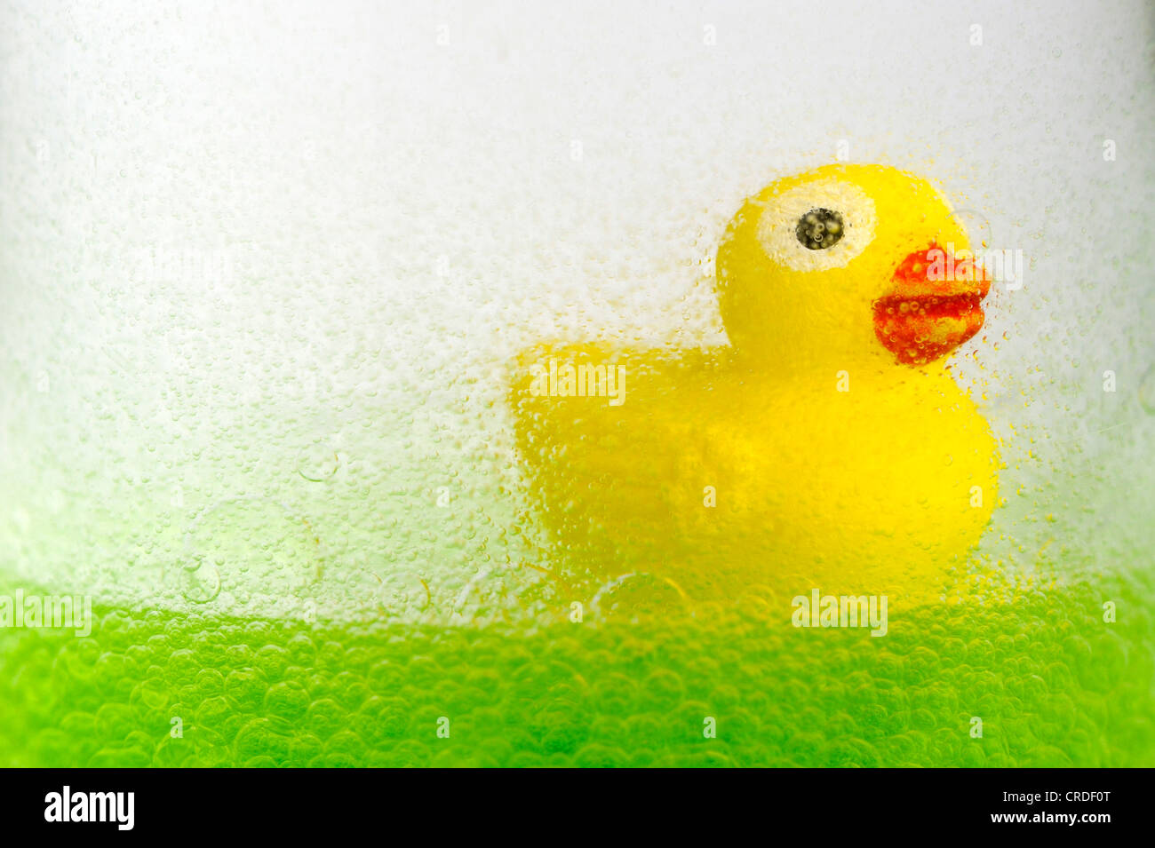 Gomma gialla anatra sul verde bolle di olio Foto Stock