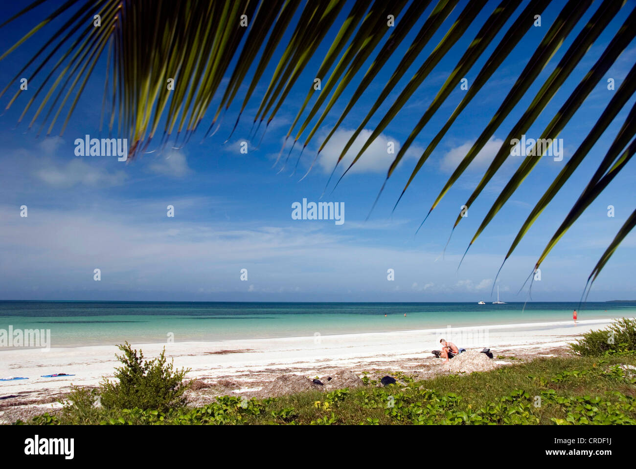 La spiaggia e il mare, Cuba, il Mare dei Caraibi, Cayo Blanco Foto Stock