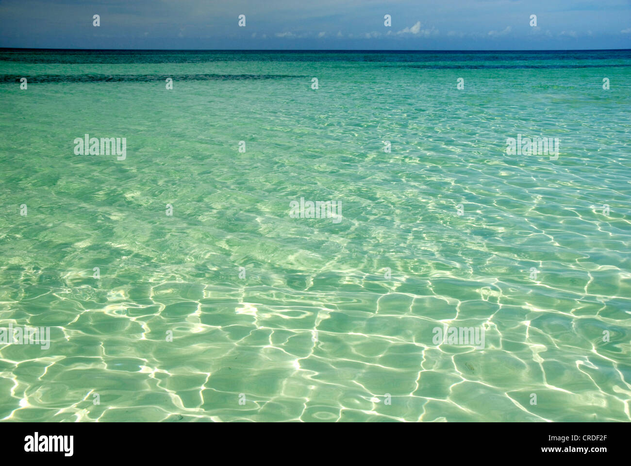 Mare claer, Cuba, il Mare dei Caraibi, Cayo Blanco Foto Stock