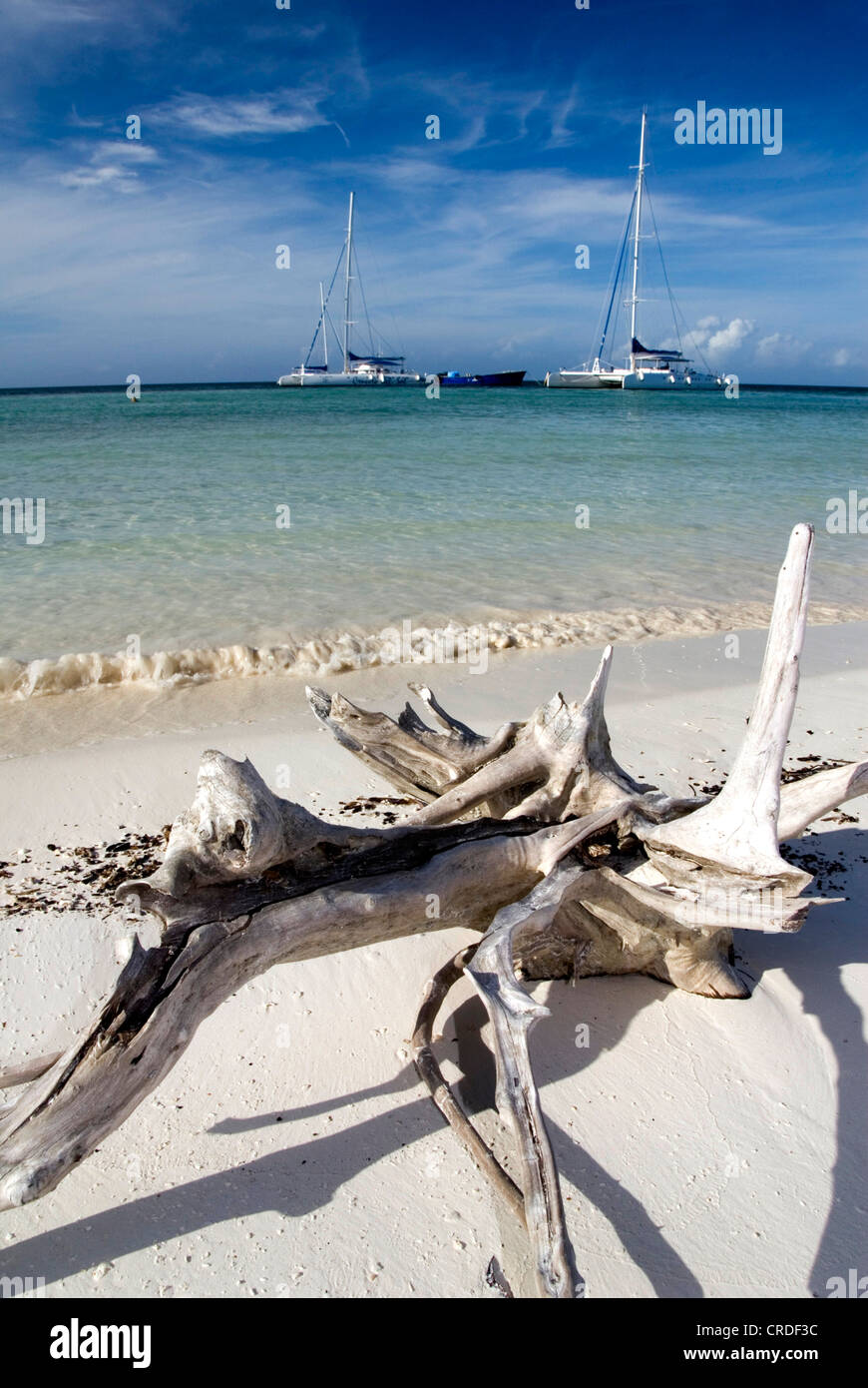 L'ancoraggio catamaranes, Cuba, il Mare dei Caraibi, Cayo Blanco Foto Stock