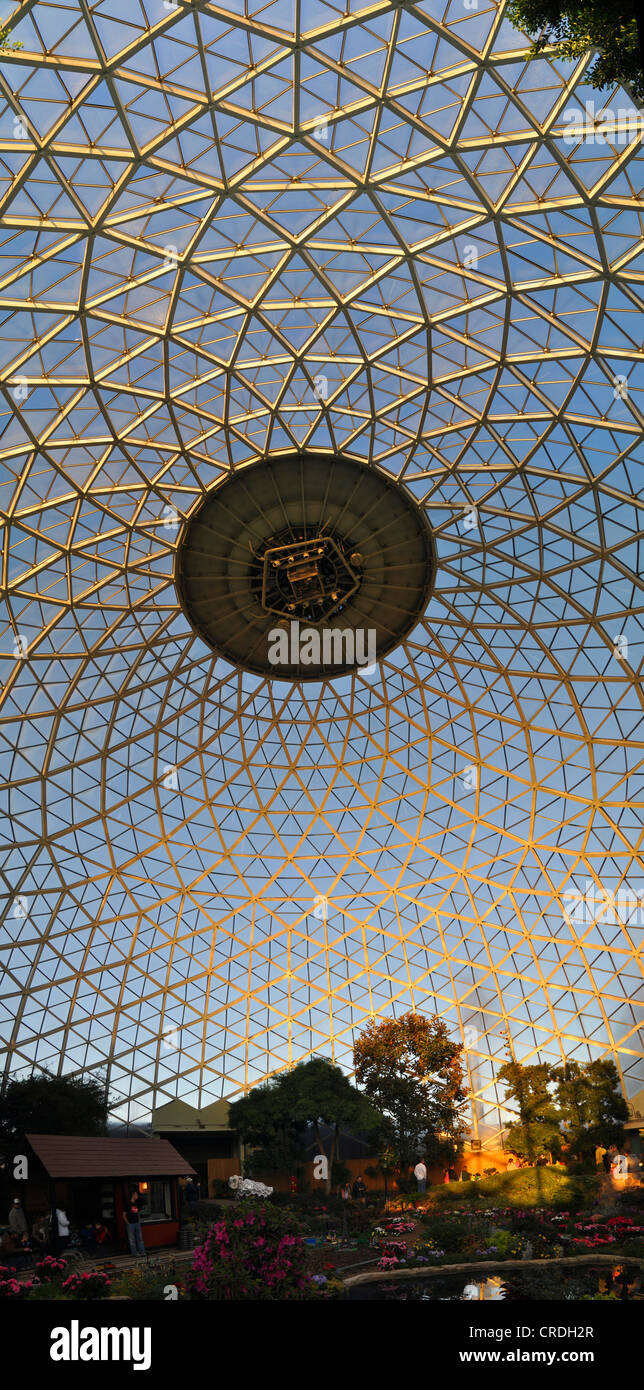 Giardino Botanico Di Cupola Di Vetro a Milwaukee Fotografia Editoriale -  Immagine di giardino, vetro: 208002357