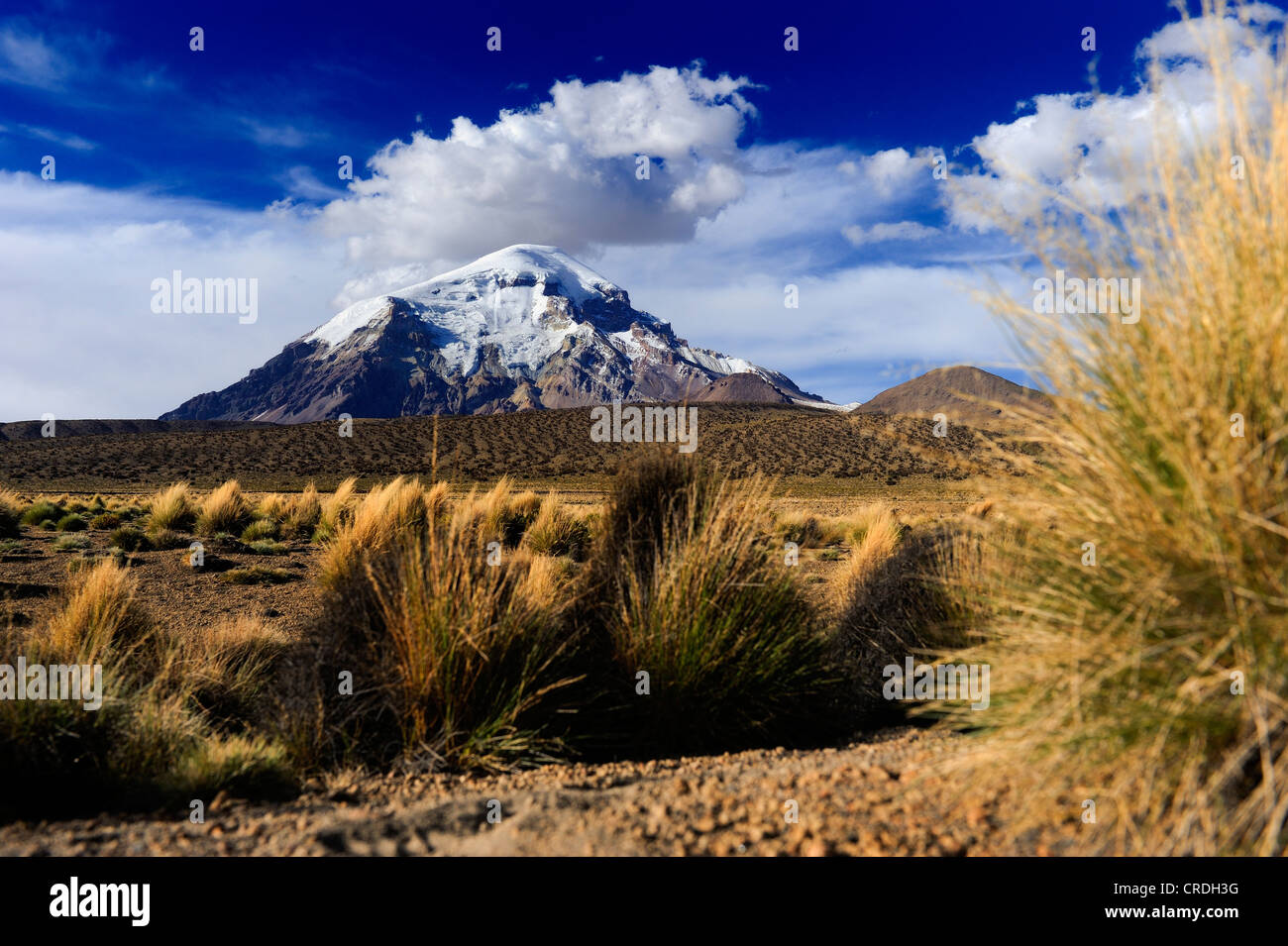 Montagne delle Ande, Sajama montagna, La Paz, Bolivia, Sud America Foto Stock