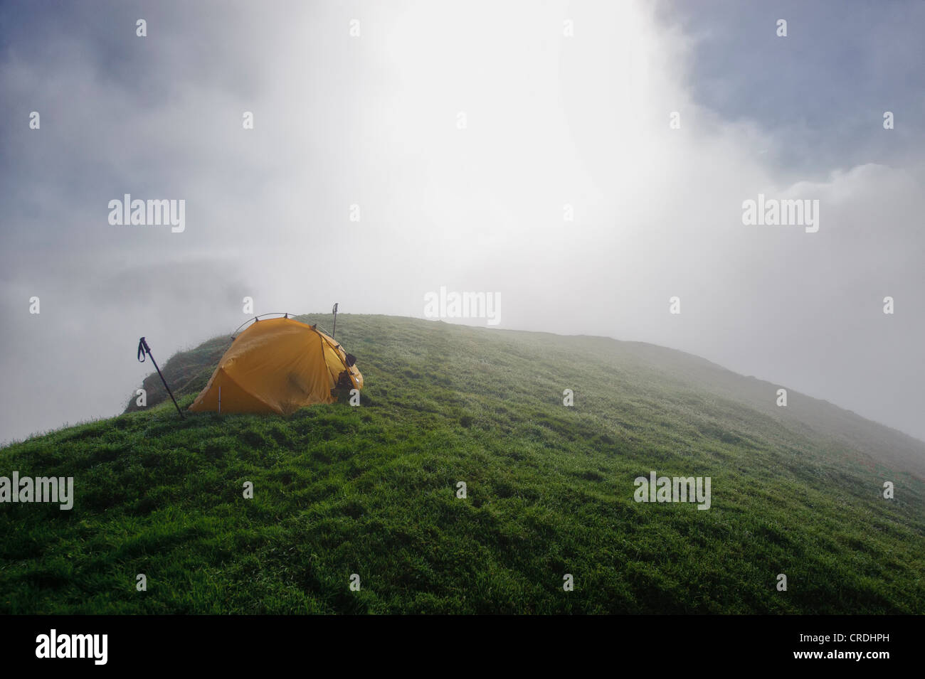 Tenda su un crinale di montagna con la nebbia, Ammergebirge, Ammer montagne, Garmisch, Baviera, Germania, Europa Foto Stock