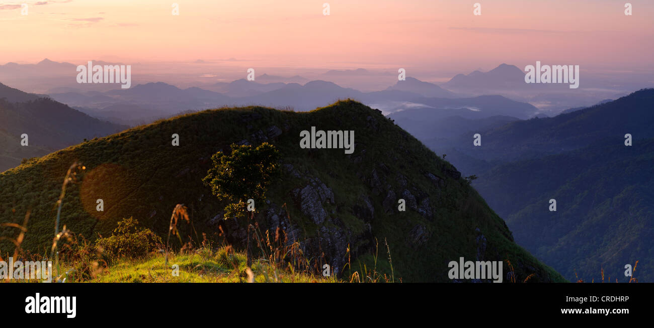 Sunrise nelle highlands, Kandy, Sri Lanka, Sud Asia Foto Stock