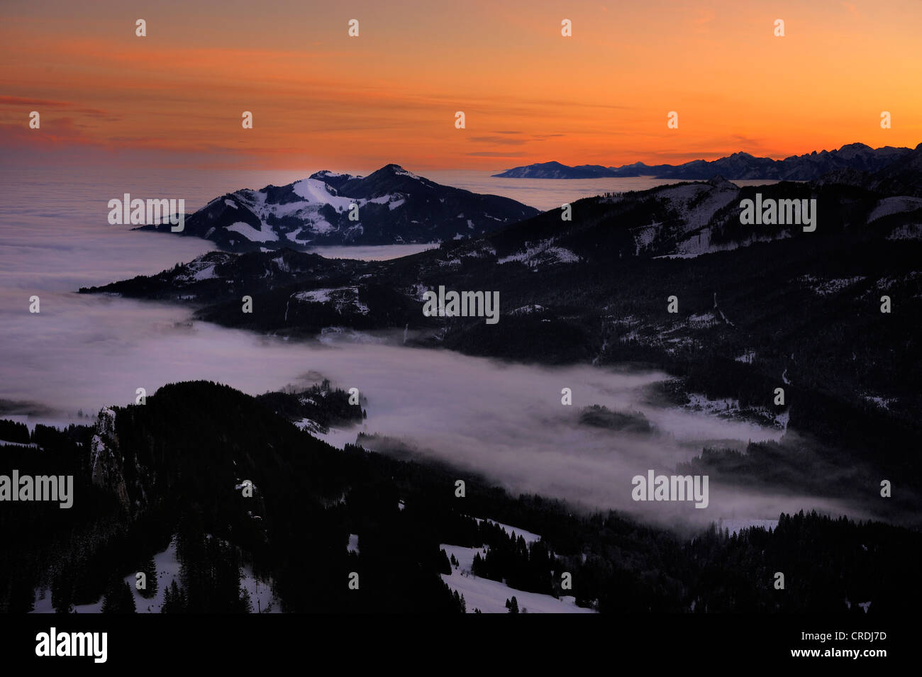 Sunrise sopra cime di montagna con la nebbia in inverno, a Sonthofen, Allgaeu, Baviera, Germania, Europa Foto Stock