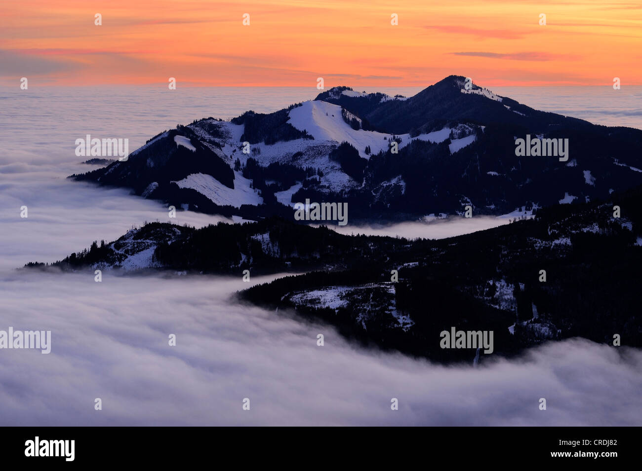 Sunrise sopra cime di montagna con la nebbia, a Sonthofen, Allgaeu, Baviera, Germania, Europa Foto Stock