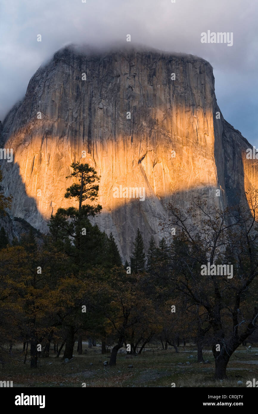 Sera La luce del sole splende su El Capitan, un monolito di granito con fino a mille metri alte scogliere di Yosemite Valley Foto Stock