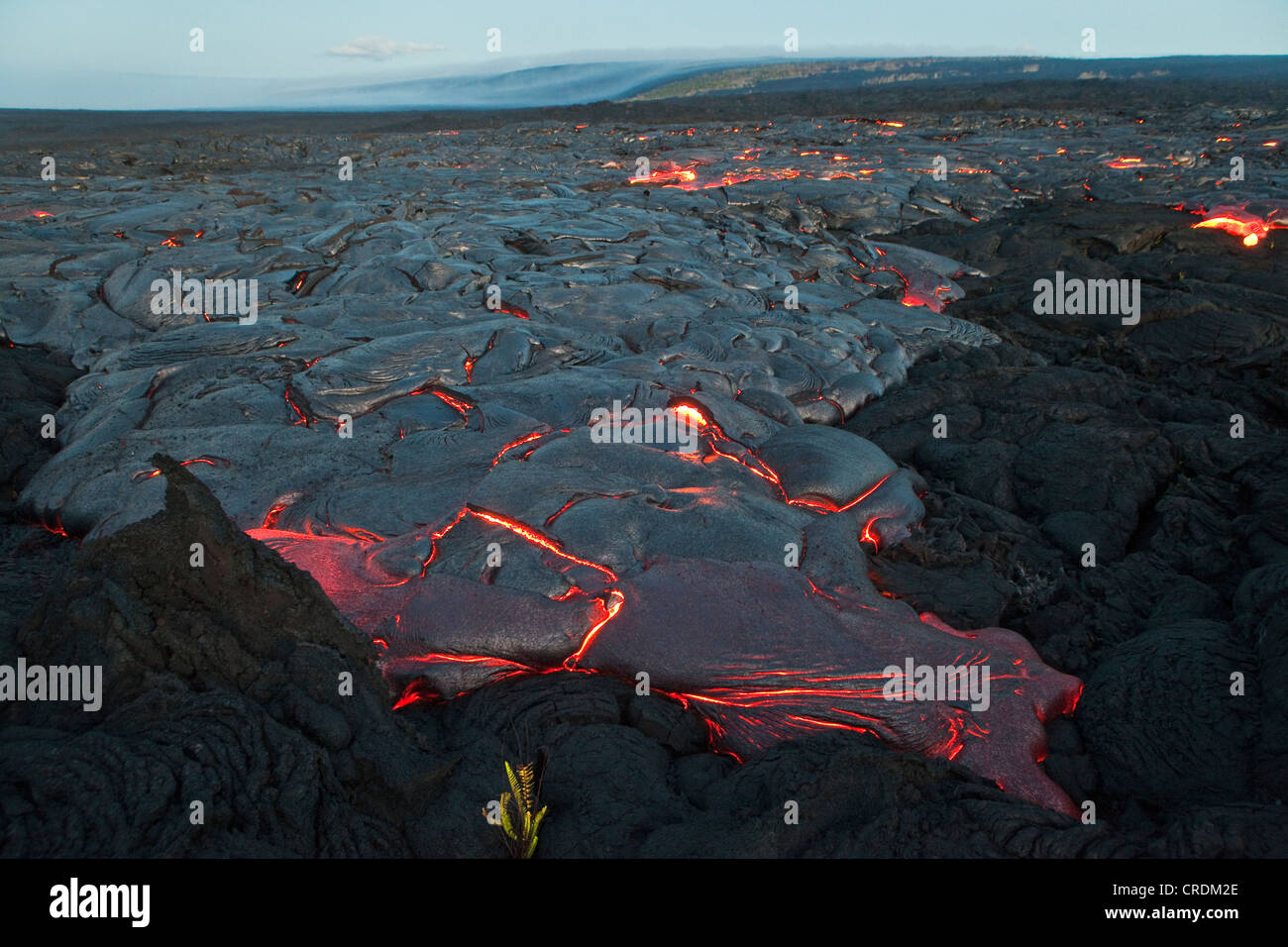 Fuso tipo pahoehoe lava scorre da una crepa in Oriente Zona di rift verso il mare, campo di lava del Kilauea vulcano a scudo Foto Stock