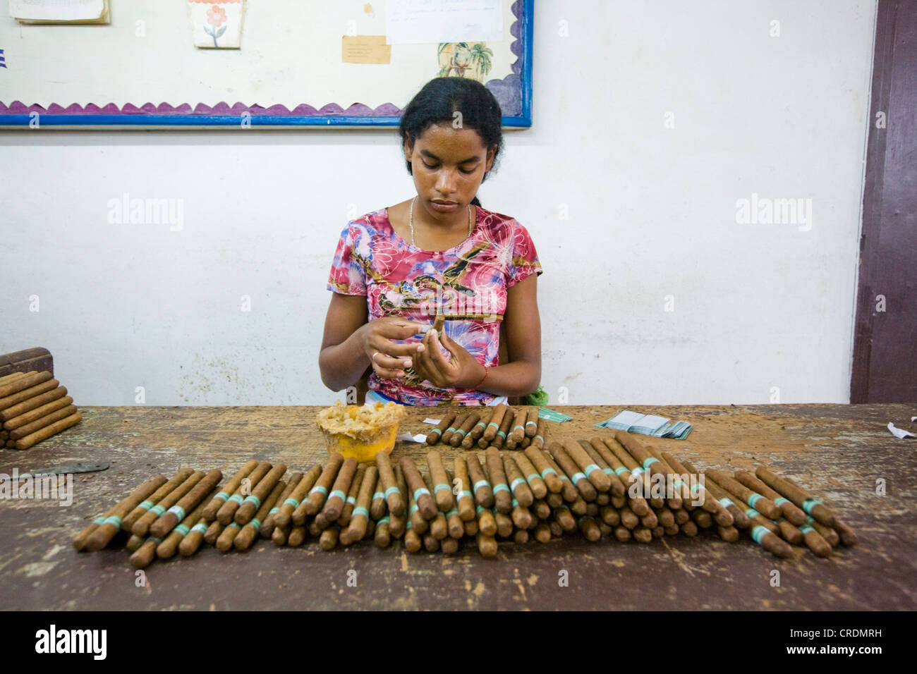 Lavoratore di sesso femminile che di attaccare le etichette per i sigari in una fabbrica di sigari, più di 100 donne che lavorano nella fabrica de Tabaco Carlos Foto Stock