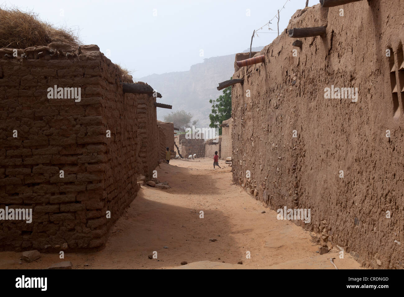 Villaggio Dogon del Mali in Africa occidentale Foto Stock