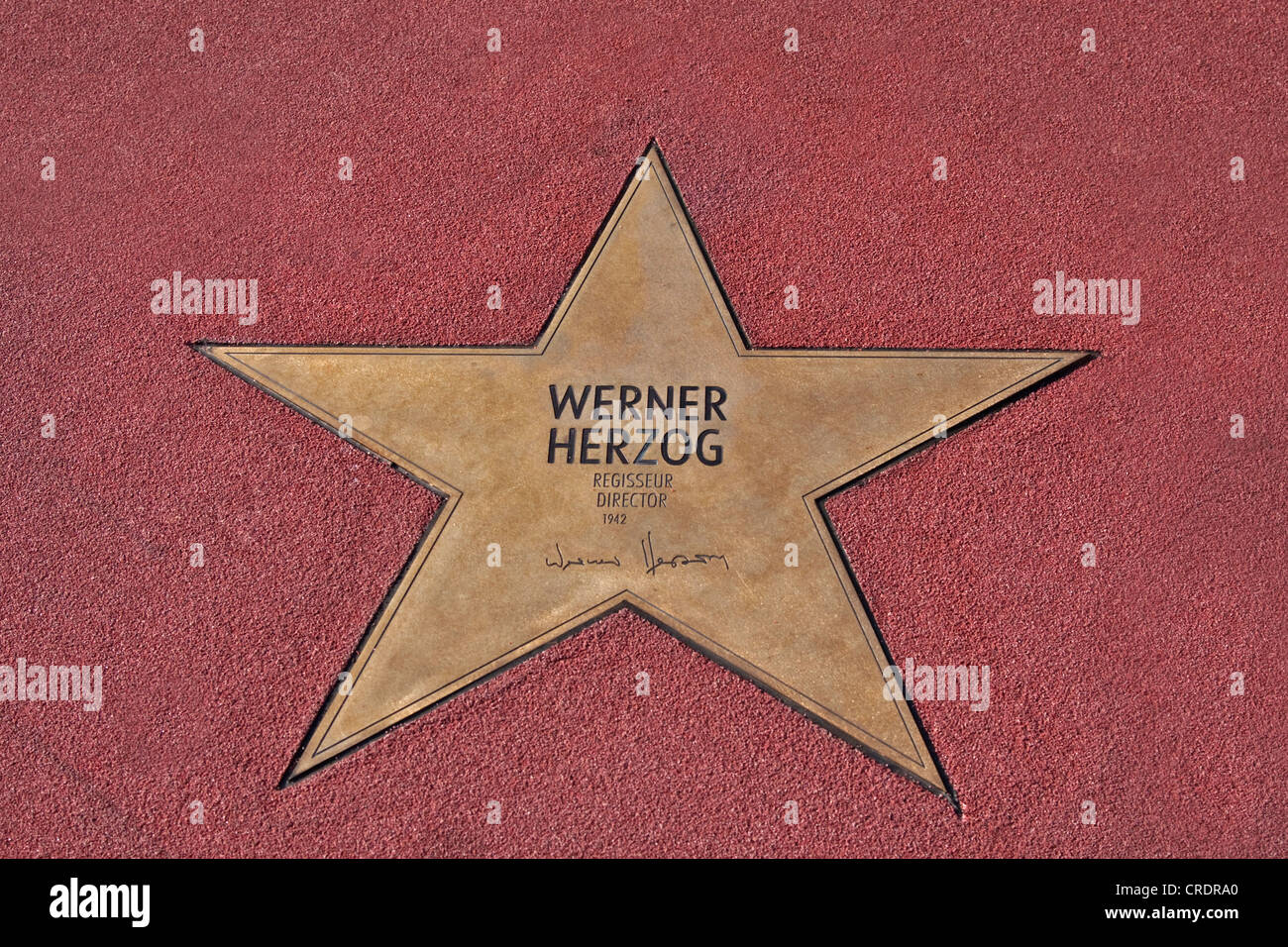 Stella di Werner Herzog, Boulevard der Stelle, a piedi di stelle, Potsdamer Platz, Berlin, Germania, Europa Foto Stock