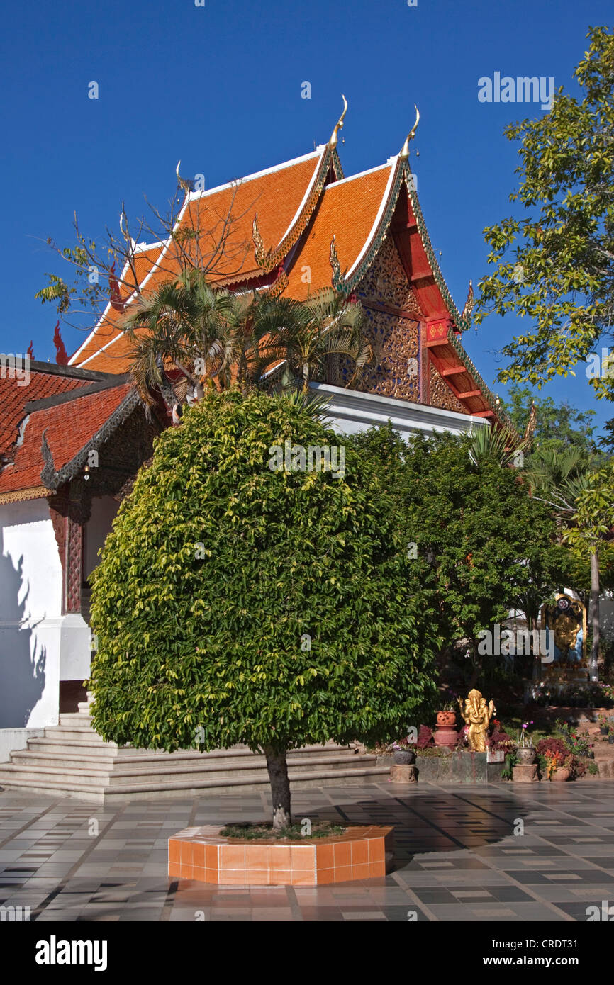 Wat Phra That Doi Suthep, uno dei più importanti templi in Thailandia perché contiene una reliquia del Buddha, Chiang Mai Foto Stock