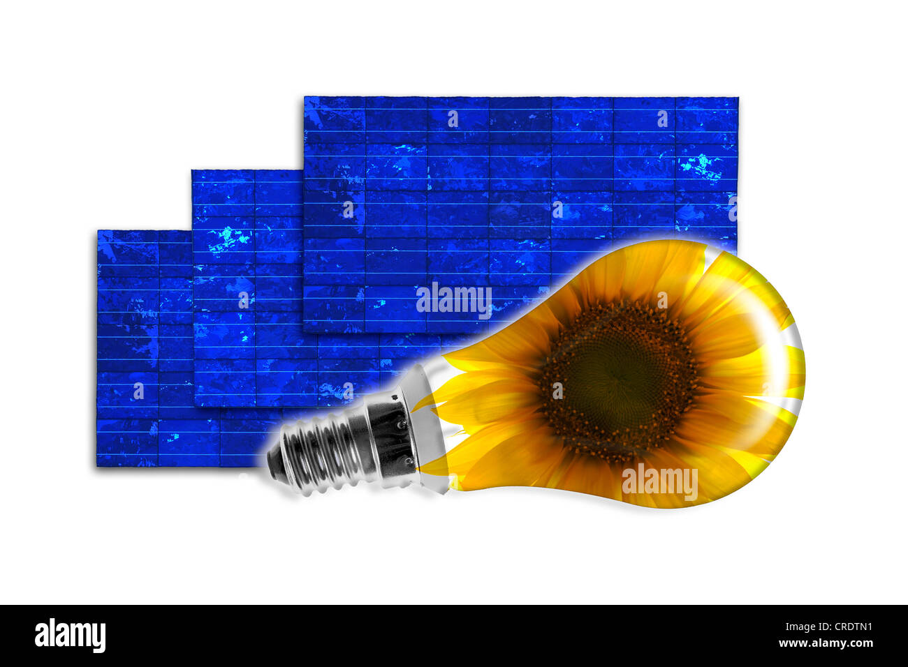 Illustrazione, celle solari con una lampadina con un girasole, immagine simbolica per energia solare Foto Stock