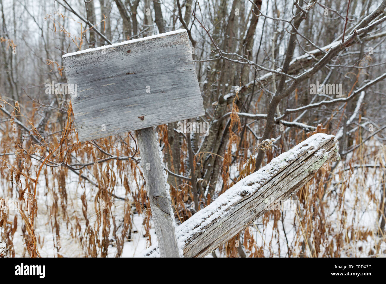 Un vecchio weathered cartello in legno post in una foresta, probabilmente una volta era un marcatore di proprietà. Foto Stock