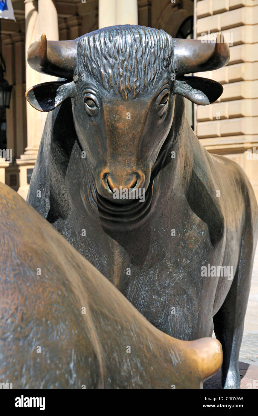Orso e bull, simboli del mercato azionario, sculture, Boersenplatz street, Francoforte Hesse, Germania, Europa Foto Stock