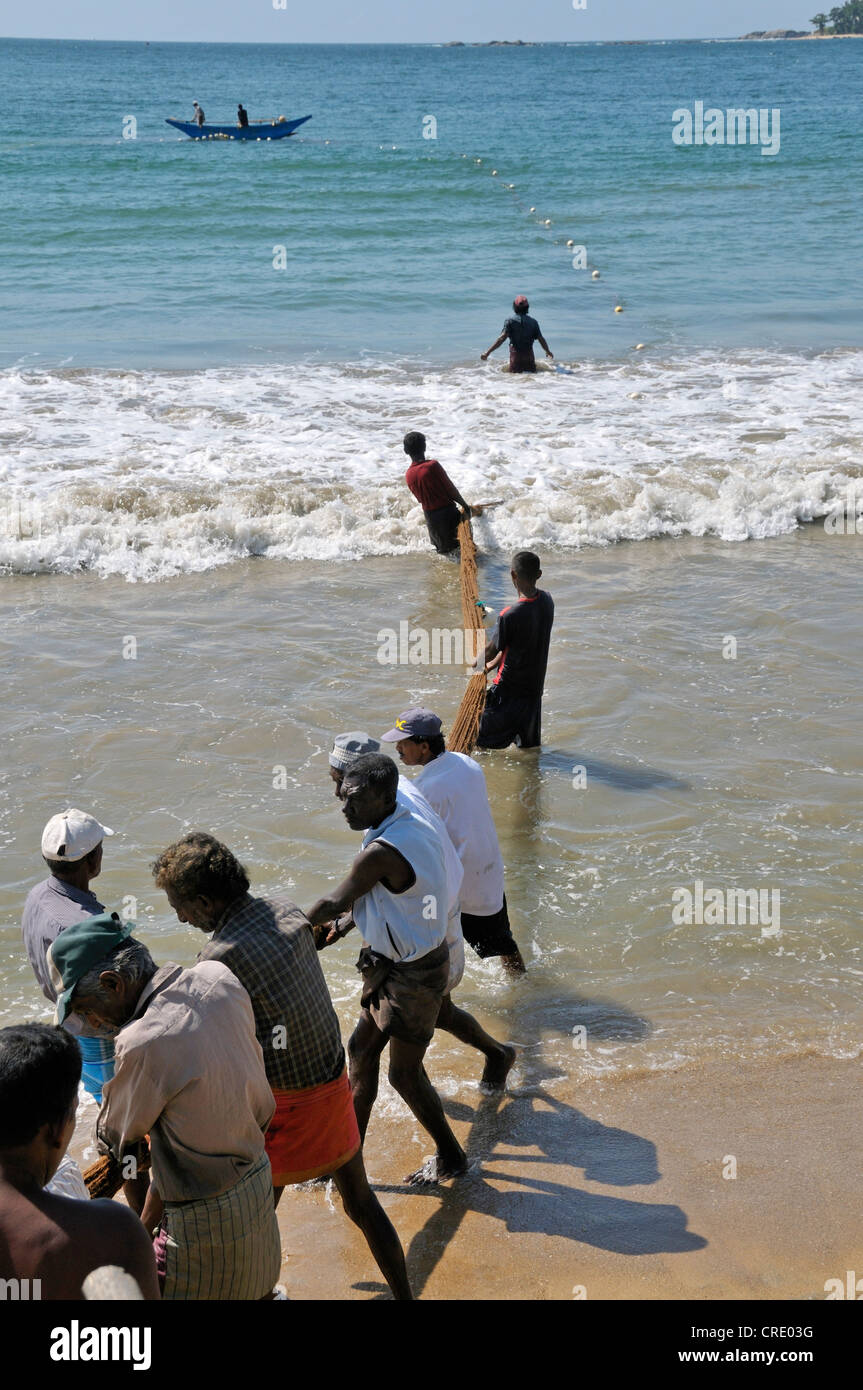 I pescatori tirando in una rete su una spiaggia a Galle, Sri Lanka, Ceylon, Asia del Sud, Asia Foto Stock