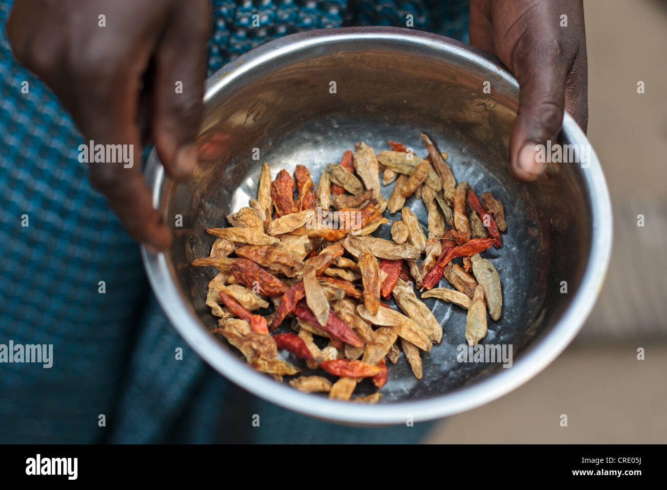 Edith Saysay, 35, tiene una ciotola con peperoni secchi come ella cuochi a casa nel villaggio di Jenneh, Contea Bomi, Liberia Foto Stock