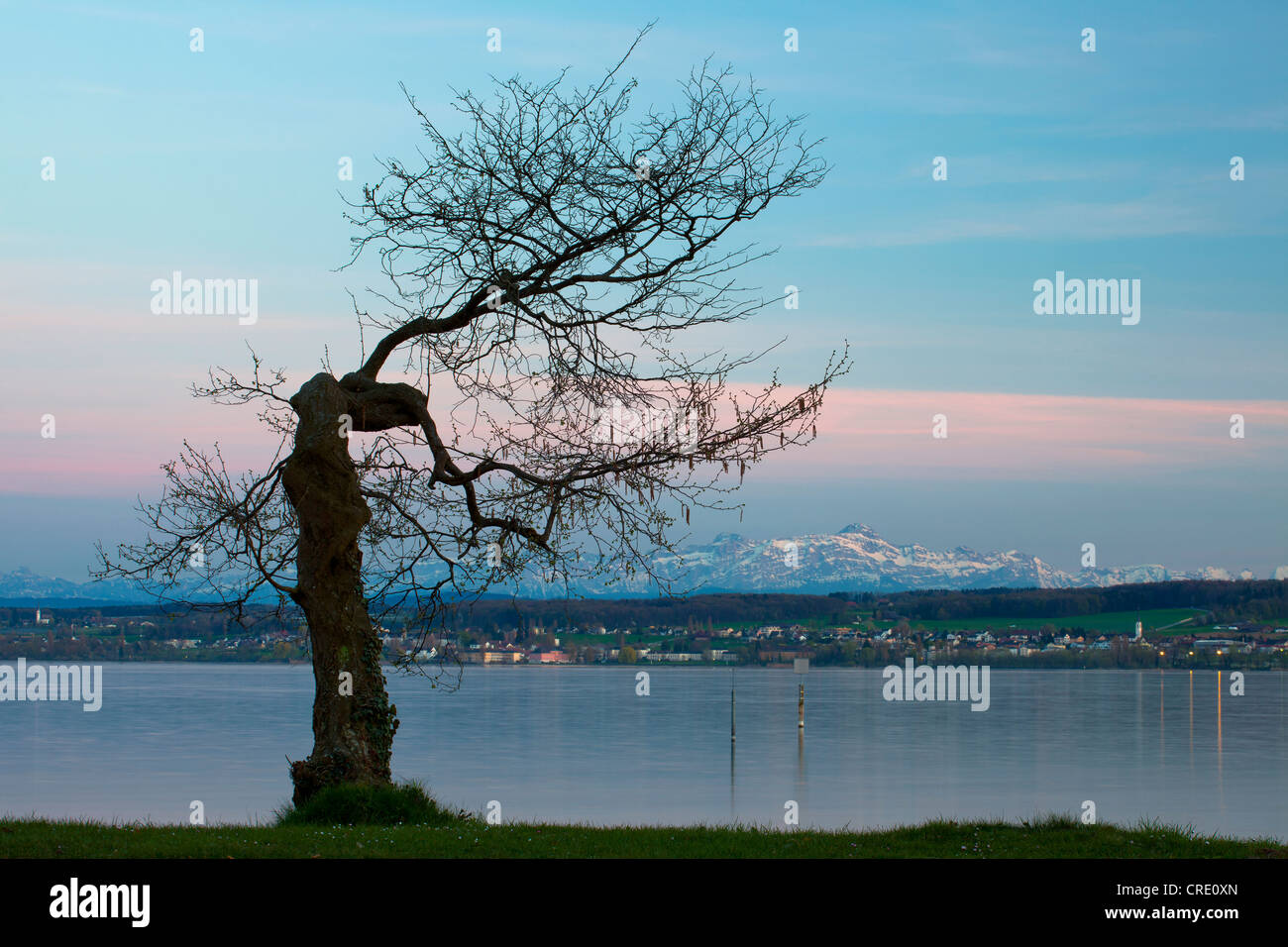 Vista dal lido Hoernle sulle Alpi con Mt. Saentis nella luce della sera, Costanza, Lago di Costanza, Baden-Wuerttemberg Foto Stock