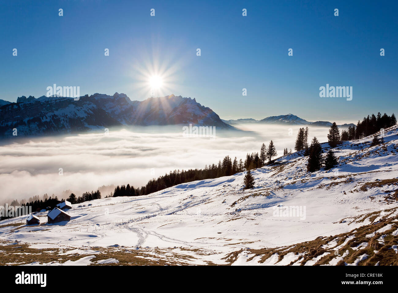 Regione Appenzell, Alpstein massiccio e un pascolo alpino come si vede dalla montagna Faehnerenspitze, bassa stratus e disgelo, Alpi Svizzere Foto Stock