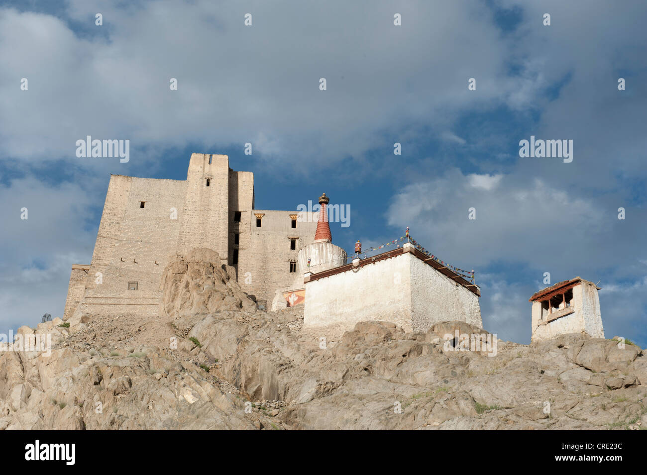 Vecchio Palazzo Reale Castello di Leh, antiche mura, Ladakh distretto, Jammu e Kashmir, India, Asia del Sud, Asia Foto Stock