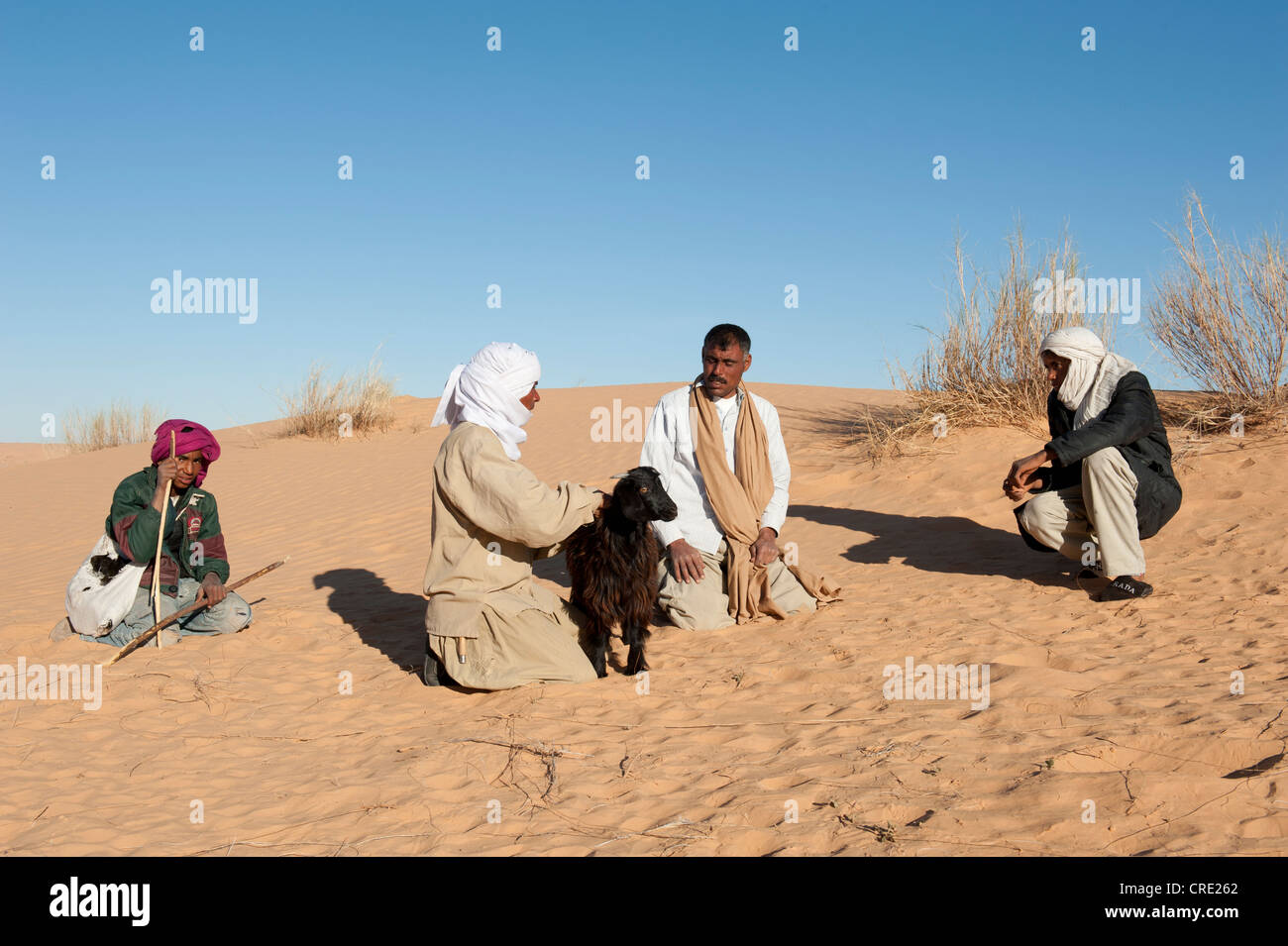 La negoziazione, beduini acquisto di una capra, dune di sabbia del deserto del Sahara tra Douz e Ksar Ghilane, Tunisia meridionale, Tunisia, Magreb Foto Stock