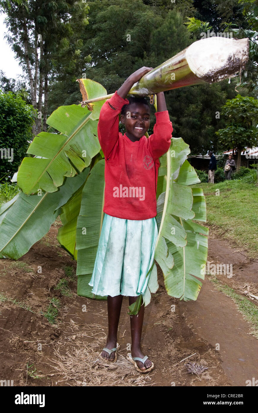 Ragazza giovane porta foglie di banano, Tanzania, Parco Nazionale di Arusha, Ngiresi Foto Stock