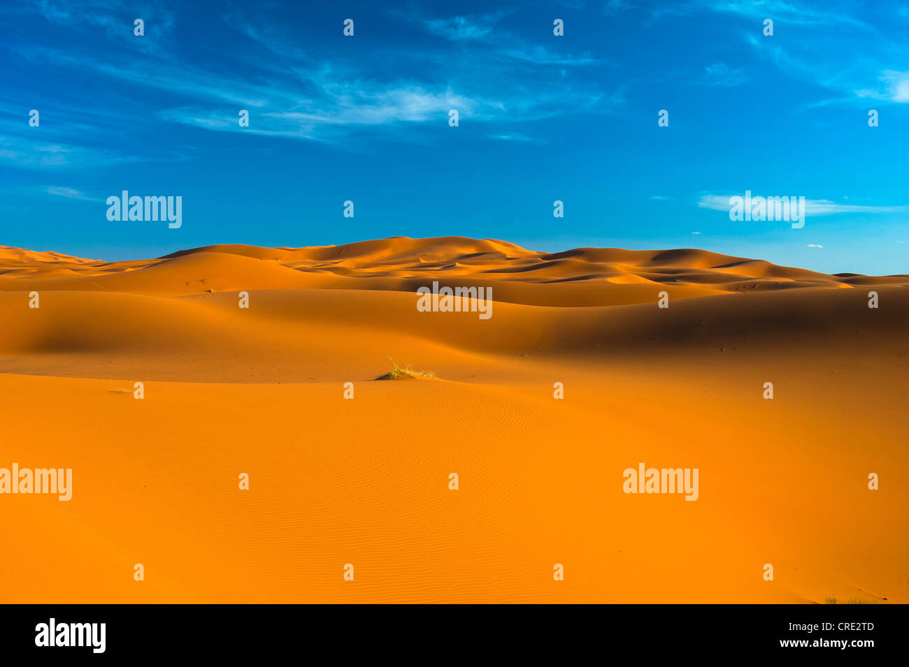 Le dune di sabbia di Erg Chebbi, Sahara, sud del Marocco, Africa Foto Stock