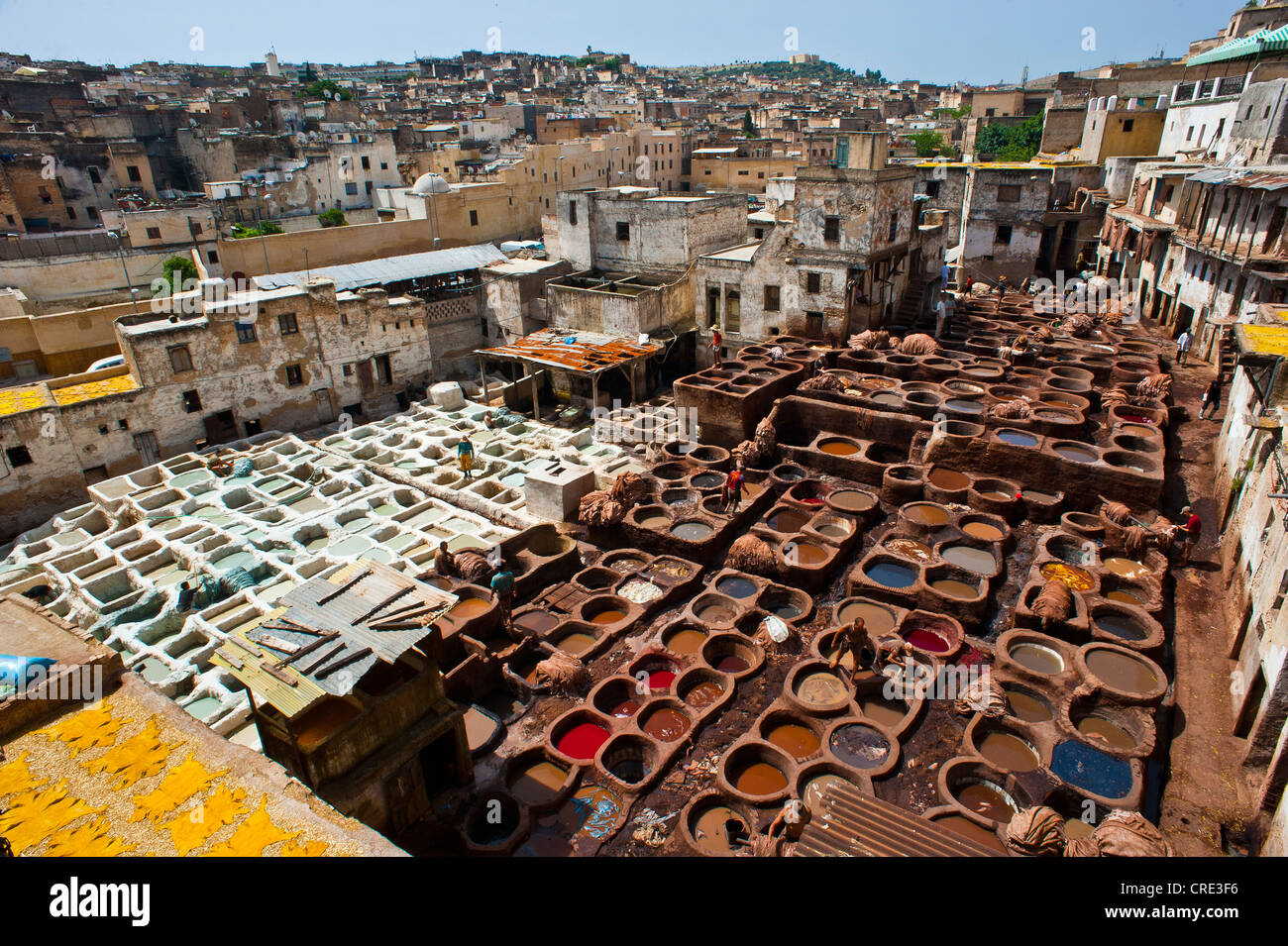 Concerie tradizionali con la concia e morendo tini, città vecchia o medina di Fez o Fes, Sito Patrimonio Mondiale dell'UNESCO, Marocco, Africa Foto Stock