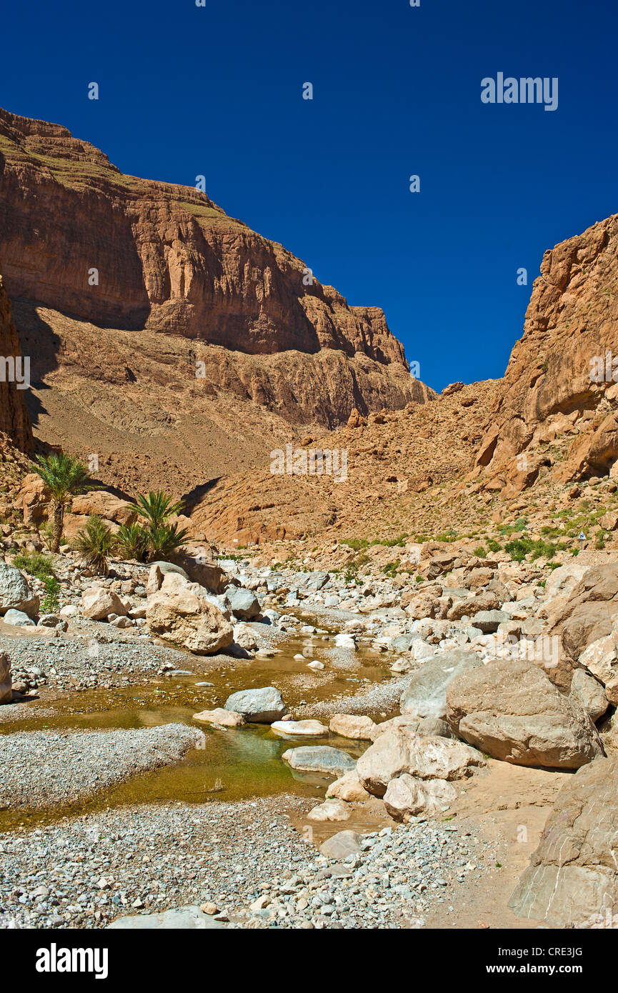 Pareti di roccia e un piccolo torrente nel Todhra Gorge, Tinerhir, sud del Marocco, Marocco, Africa Foto Stock
